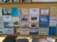 barlinek2010sq1pin_25_small.jpg