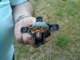 barlinek2010sq1pin_40_small.jpg