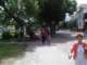 barlinek2010sq1pin_55_small.jpg