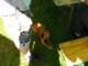 sq1fyq_03_small.jpg