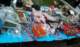 tama_2010_sq1pin_04_small.jpg