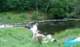 tama_2010_sq1pin_07_small.jpg