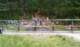 tama_2010_sq1pin_11_small.jpg