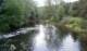 tama_2010_sq1pin_12_small.jpg