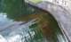 tama_2010_sq1pin_13_small.jpg