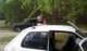 tama_2010_sq1pin_80_small.jpg