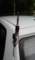 tama_2010_sq1pin_82_small.jpg