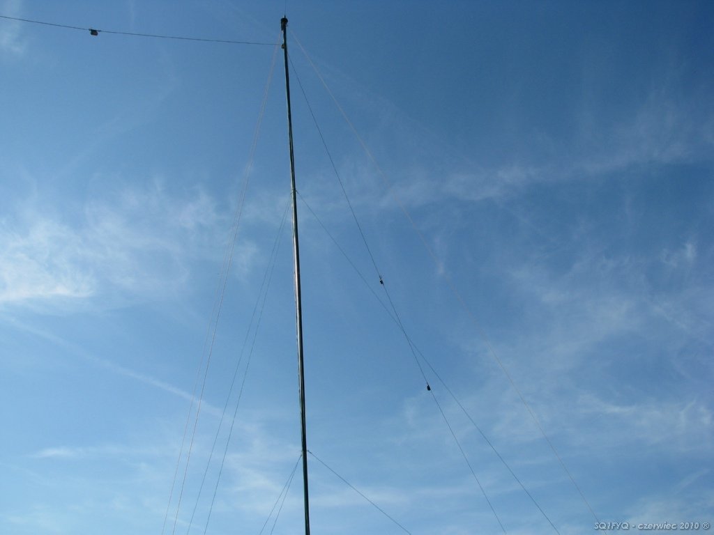 sq1fyq49.jpg
