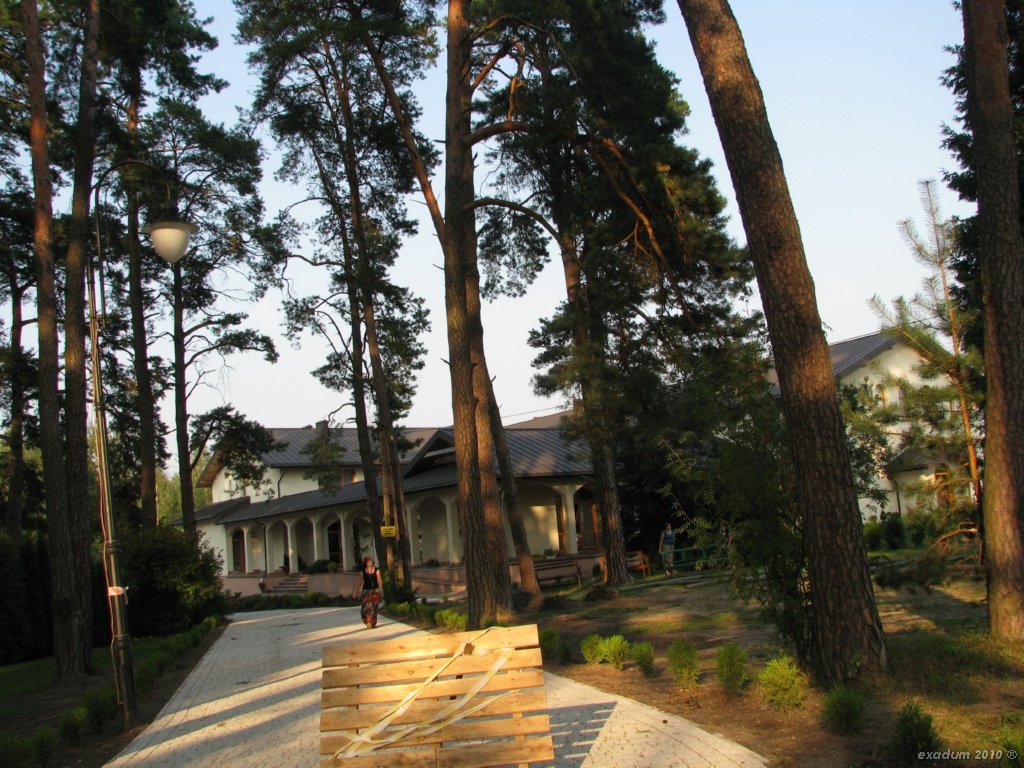 ggr013.jpg