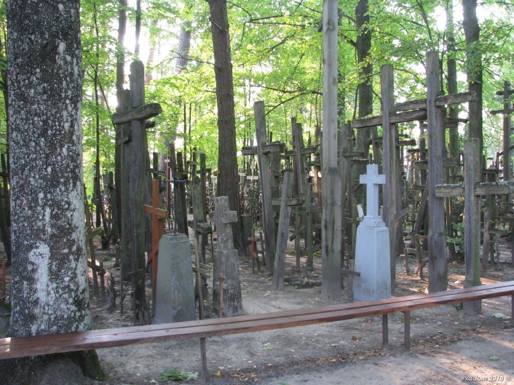 ggr017.jpg