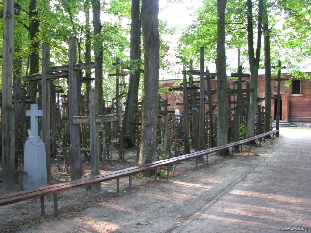 ggr018.jpg