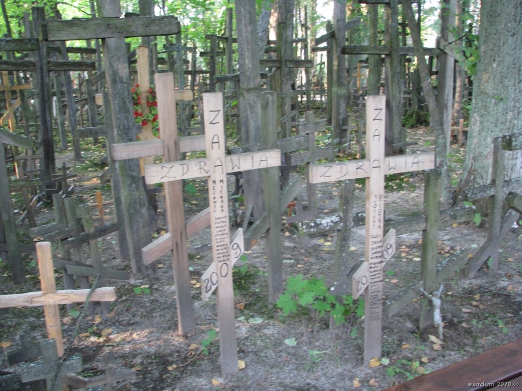 ggr020.jpg