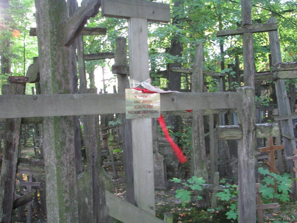 ggr022.jpg