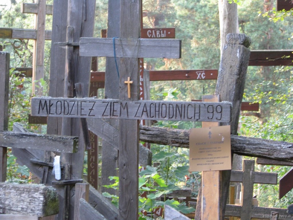 ggr023.jpg