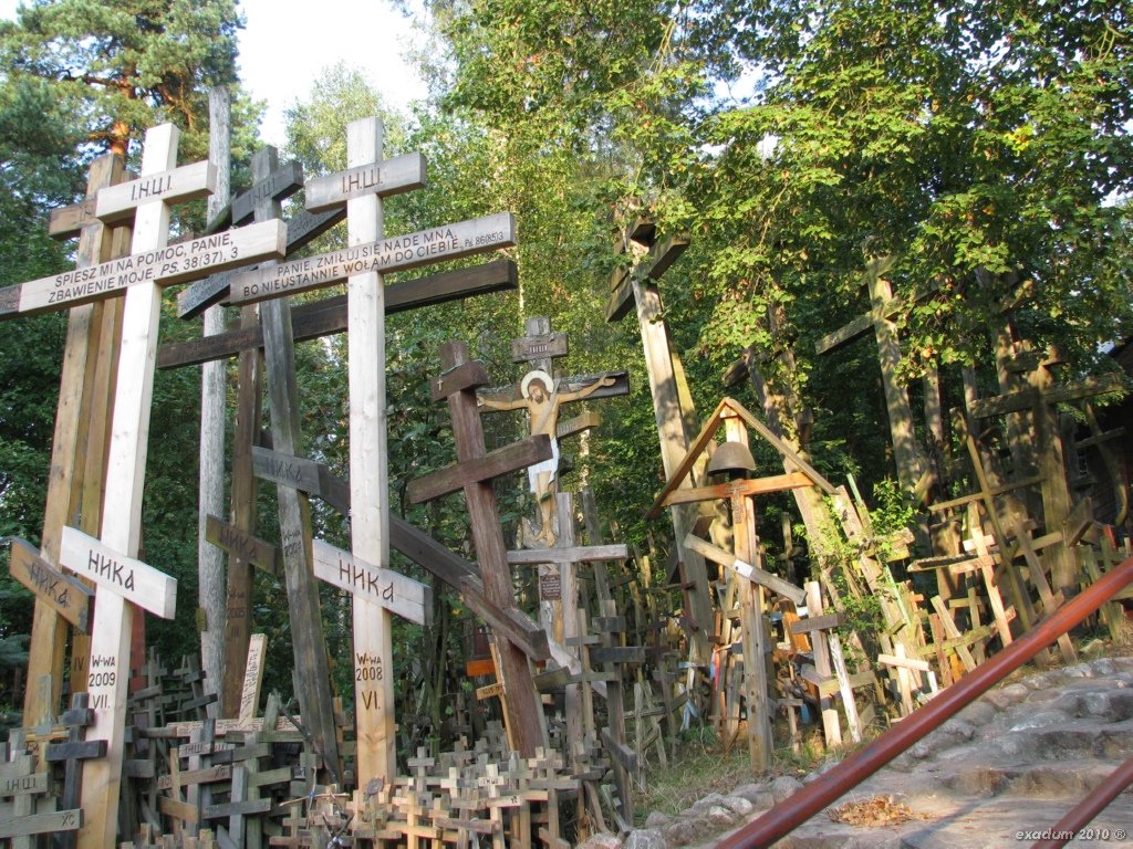 ggr024.jpg