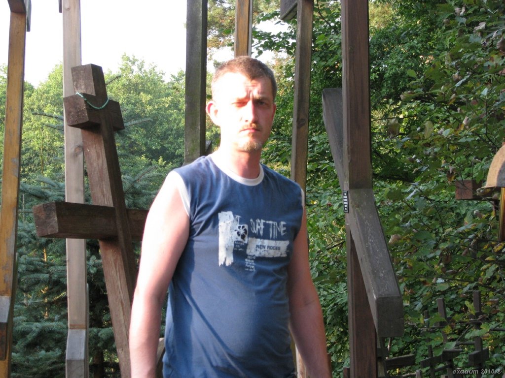 ggr028.jpg