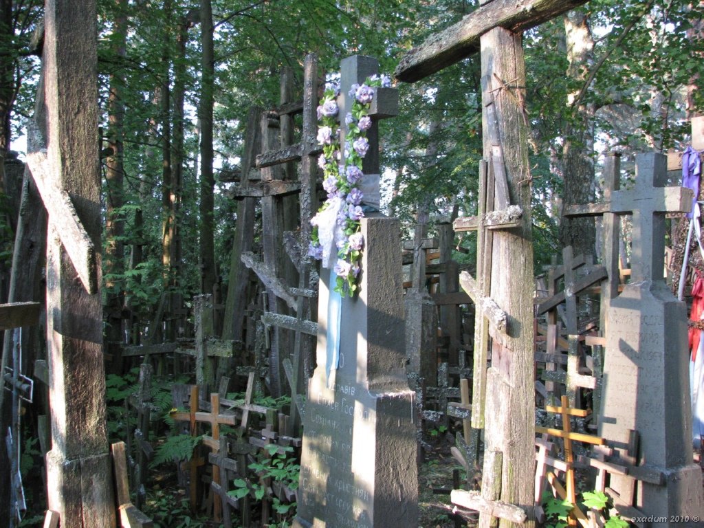 ggr031.jpg