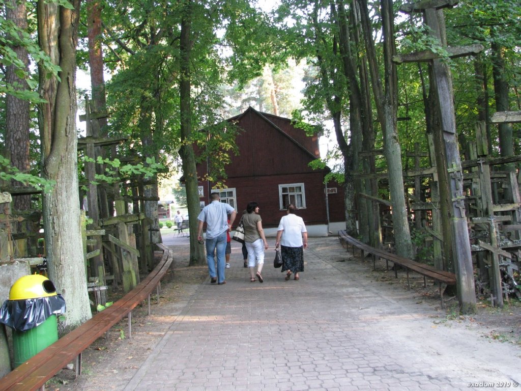 ggr032.jpg