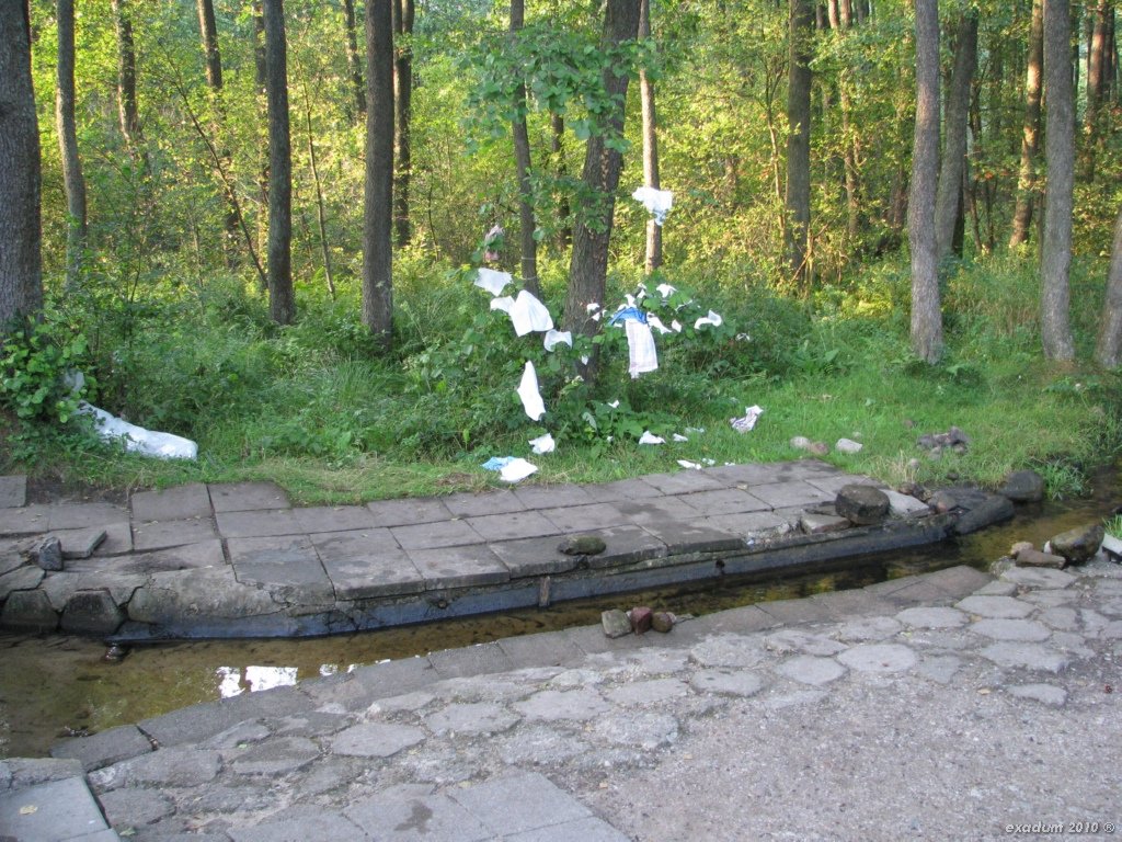 ggr052.jpg