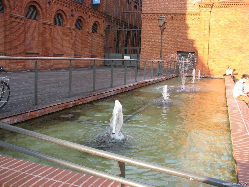 lod009.jpg