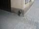 lod089_small.jpg