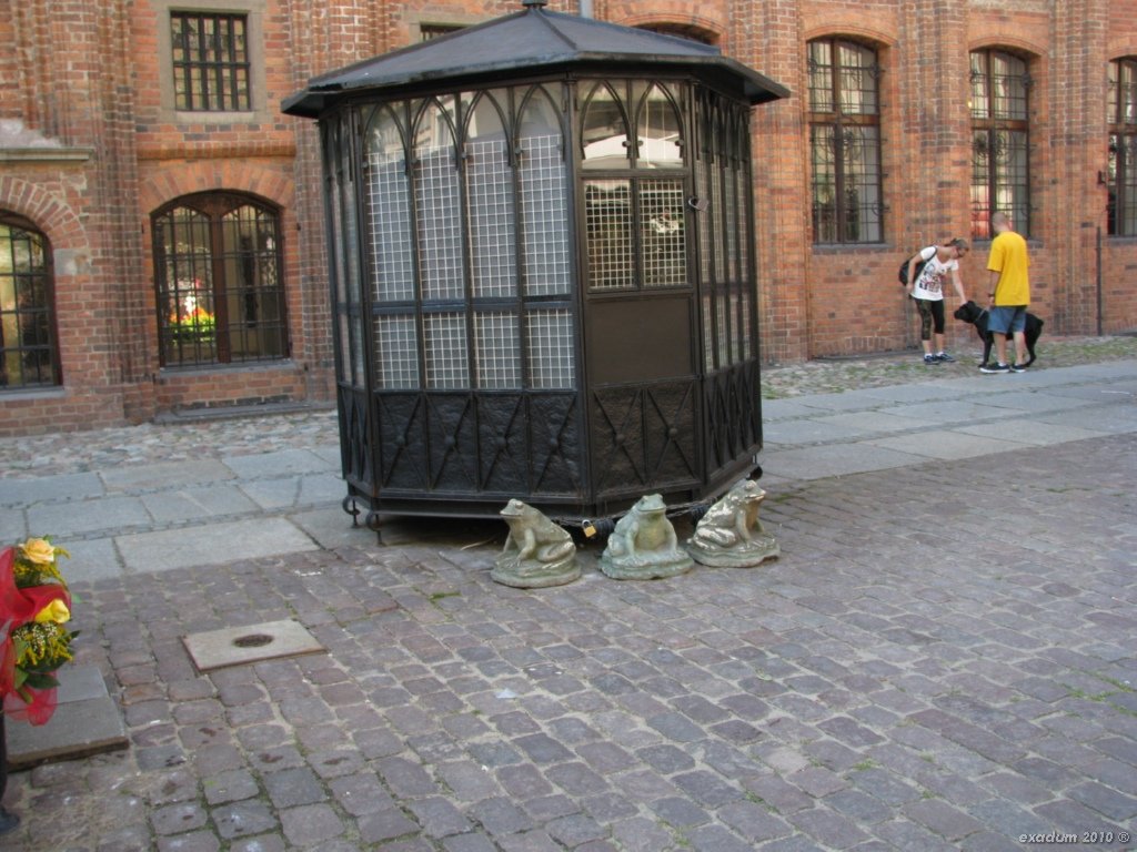 tor091.jpg