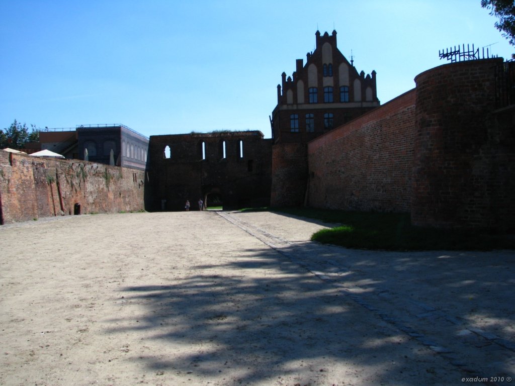 tor099.jpg