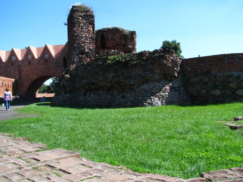 tor107.jpg