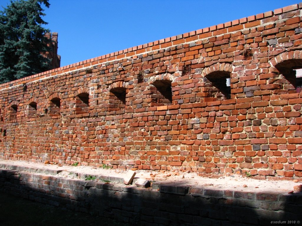 tor111.jpg