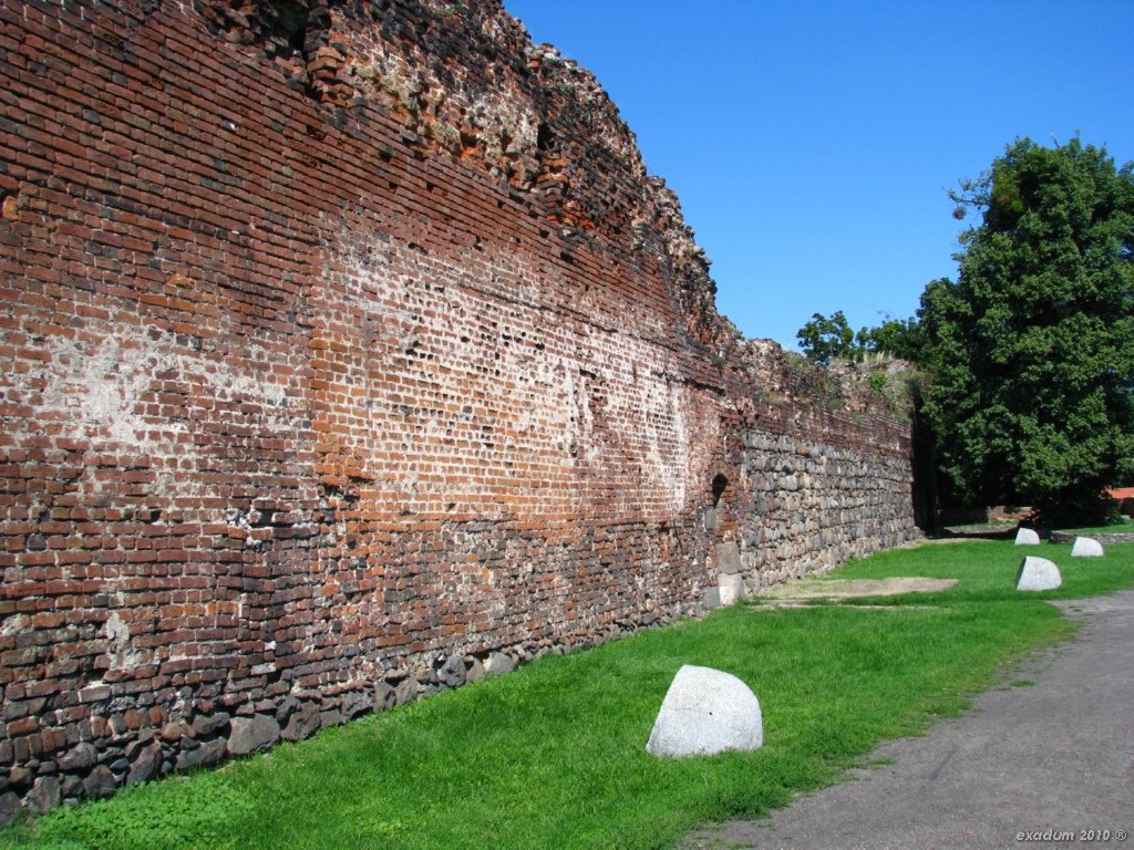 tor117.jpg