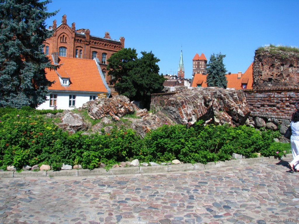 tor119.jpg