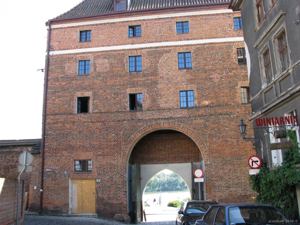 tor139.jpg